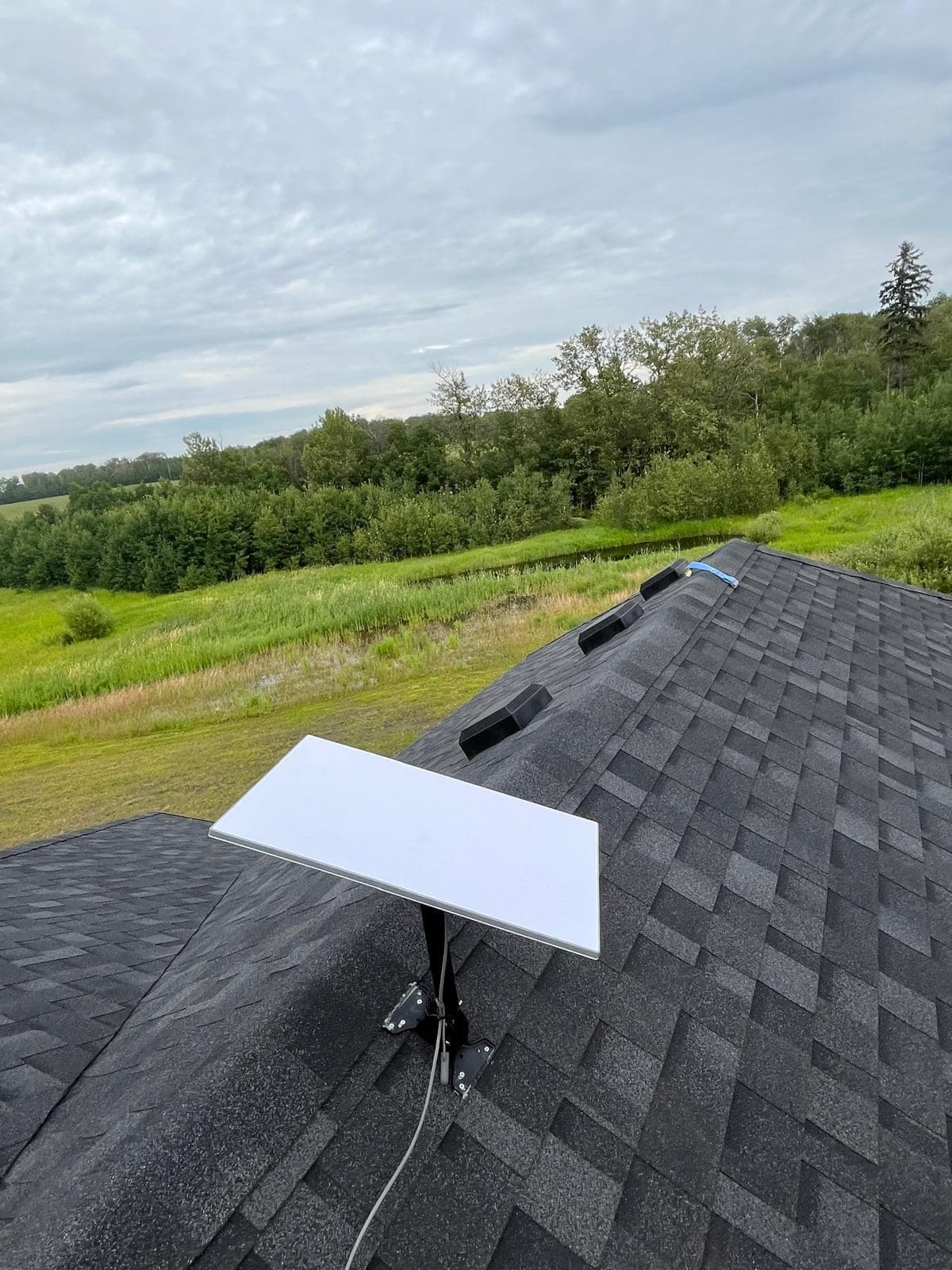 Starlink dish on a black pipe mount fixed to a shingled roof ridge, with pasture and forest behind