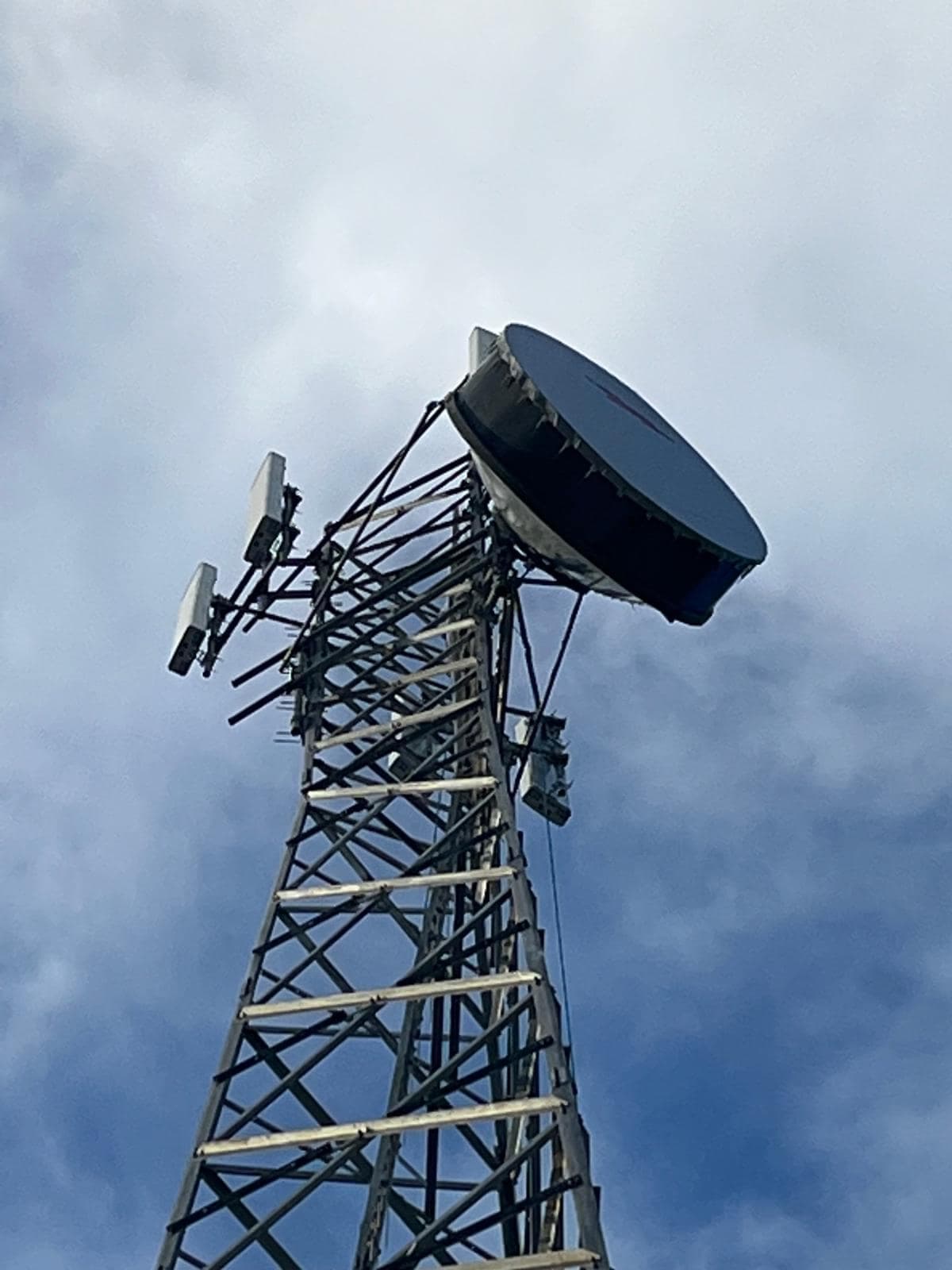 Top of a telecommunications tower with a large shrouded microwave dish and several sector antenna panels