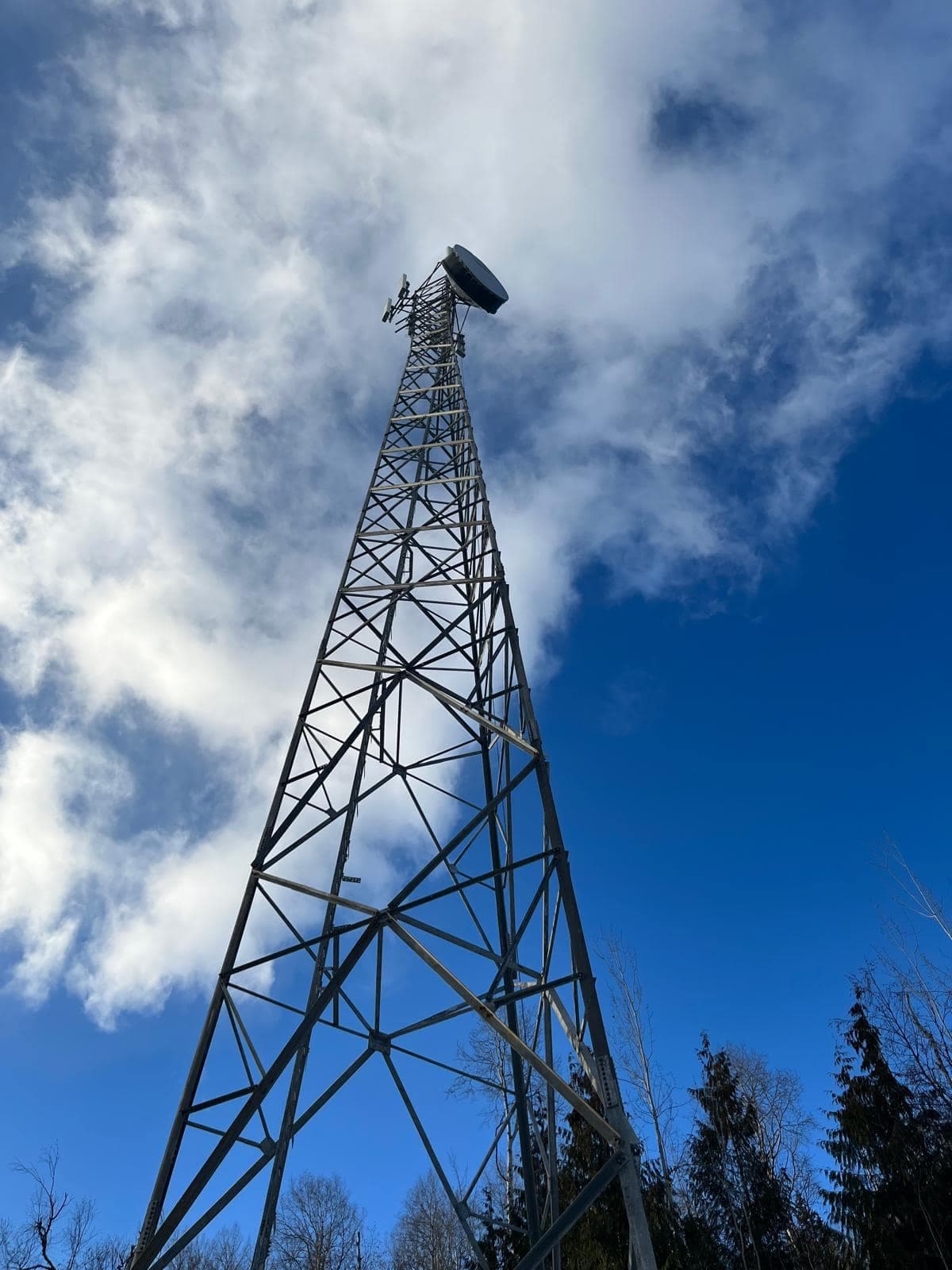 Lattice telecommunications tower photographed from the base, carrying a microwave drum antenna and sector panels against a blue sky